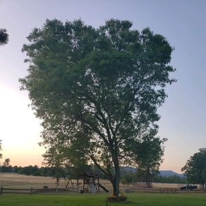 Meet your Posher, Triston